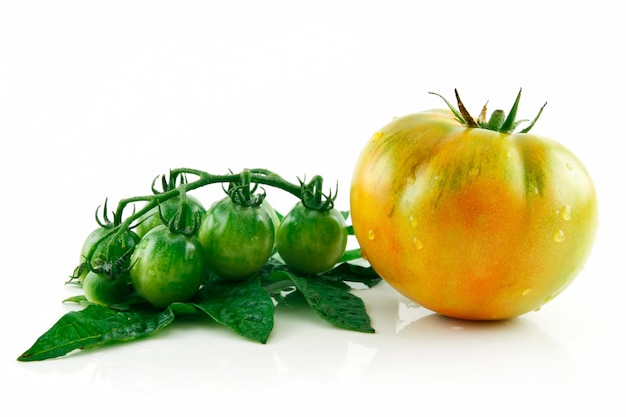 Photo ripe wet yellow and green tomatoes isolated on white