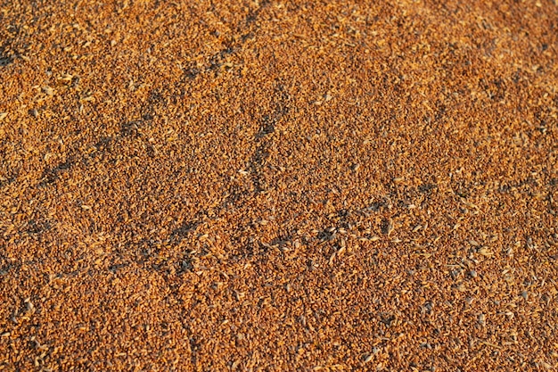 ripe wheat grains heap after harvesting