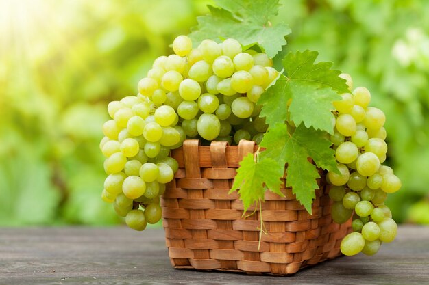 Ripe white grape on wooden table