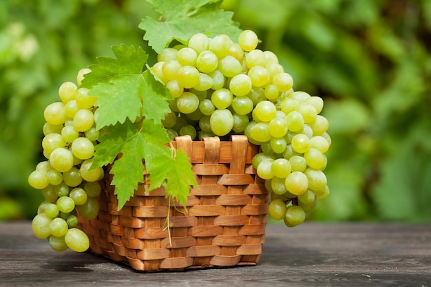 Ripe white grape on wooden table