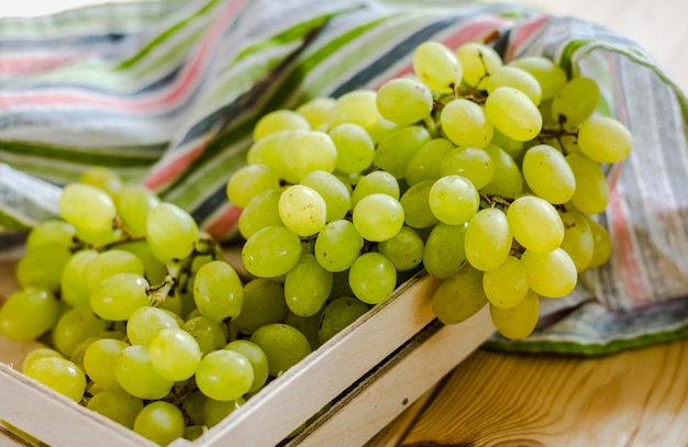 Ripe white grapes on green background