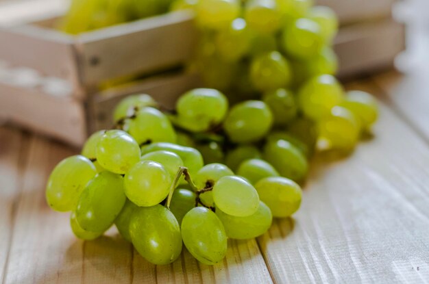 Ripe white grapes on green background