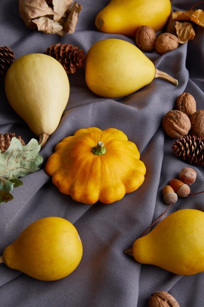 Photo ripe whole colorful pumpkins autumnal