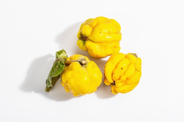 Ripe whole quince isolated on white background. Fresh fruit, an essential ingredient for a healthy food. Trendy hard light, dark shadow