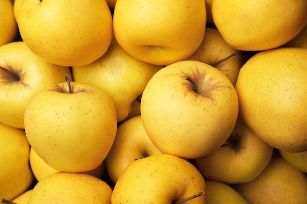 Ripe yellow apples closeup