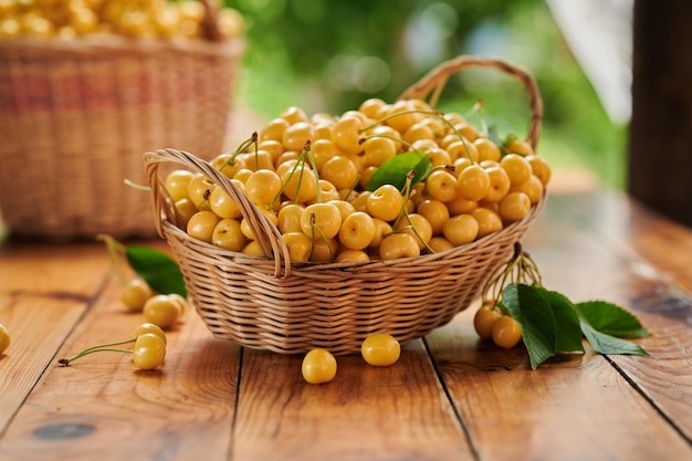 Ripe yellow cherries in a wicker basket