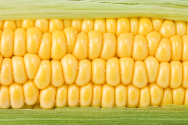 Ripe yellow corn closeup