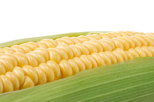 Спелая желтая кукуруза, изолированные на белом фоне