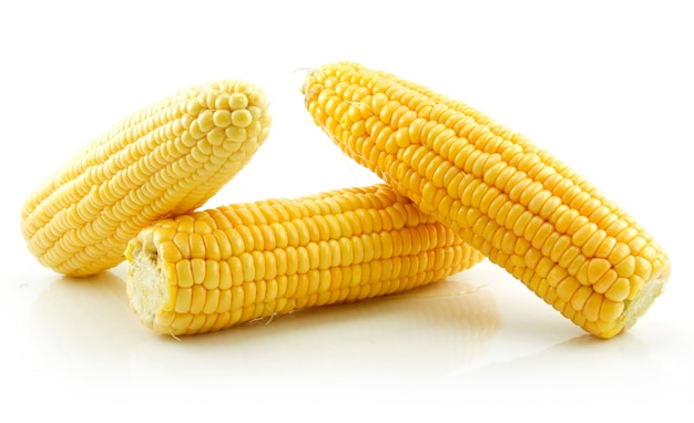 Photo ripe yellow corn isolated on white