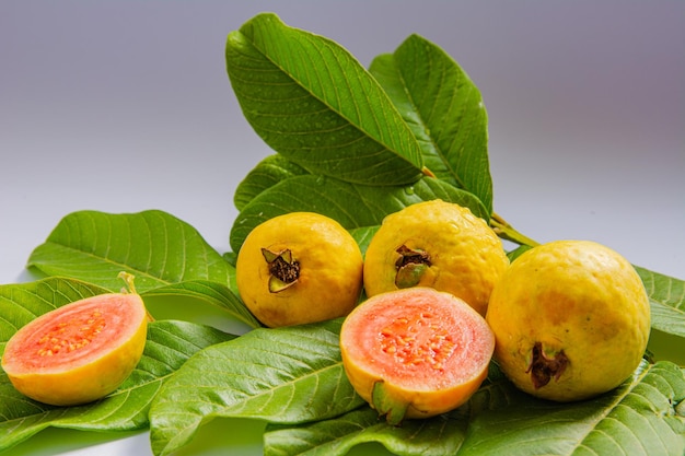 Ripe yellow fruits and leaves of guava on a white background