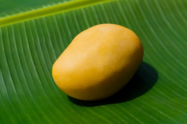 Спелое желтое манго на банановом листе