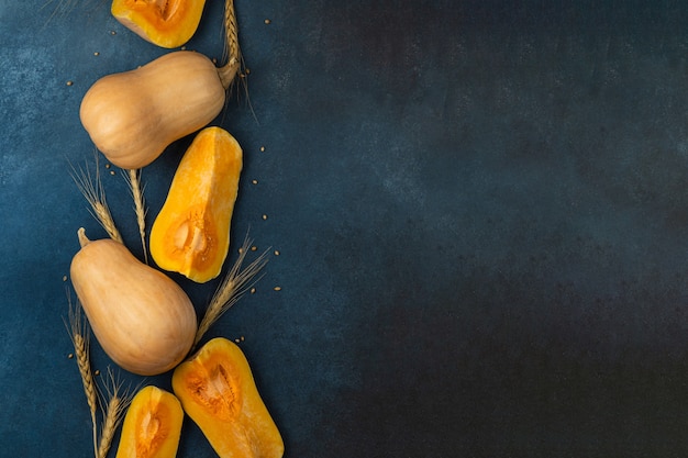 Ripe yellow pumpkins with wheat on a blue background