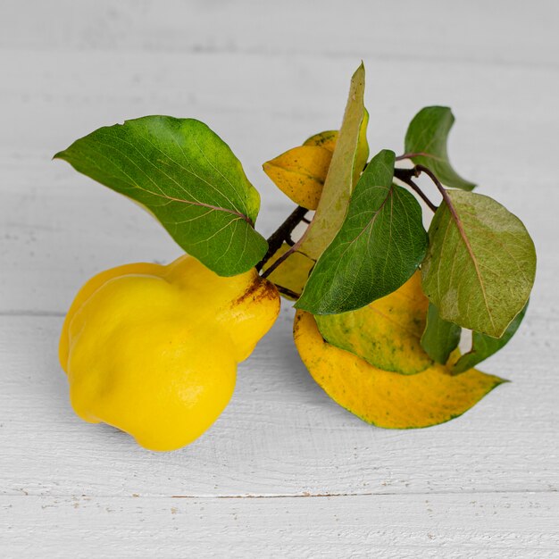 Ripe yellow quince on white 