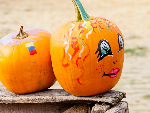 Foto zucche mature al campo di zucca.