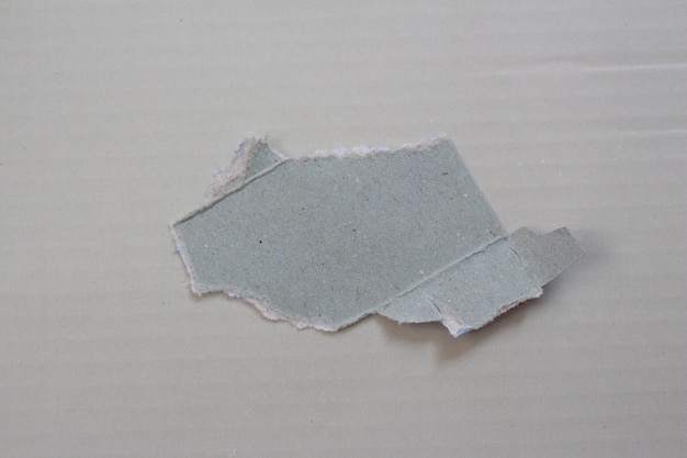 Ripped paper on grey background.