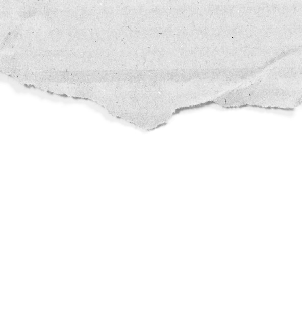 白い背景に破れた紙とあなたの仕事のデザインのためのコピースペースがあります