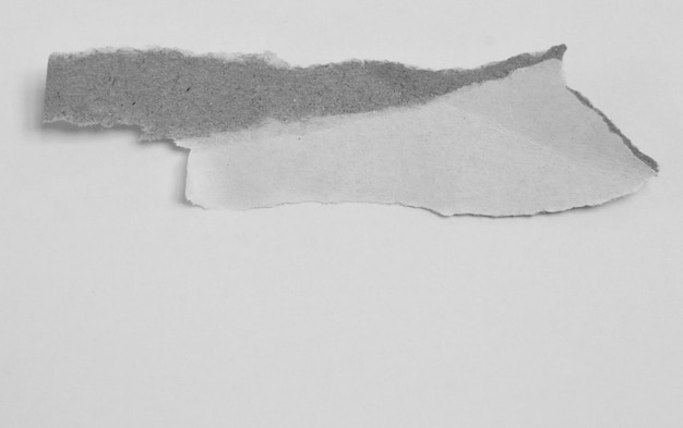 ripped torn paper on white background