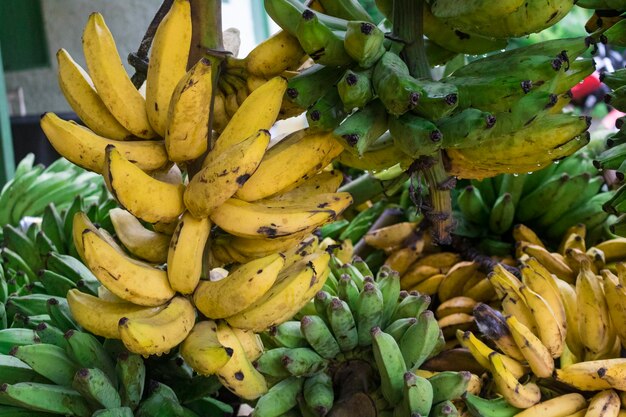 Ripped Yellow and Green Frash Bananas on Wood Table