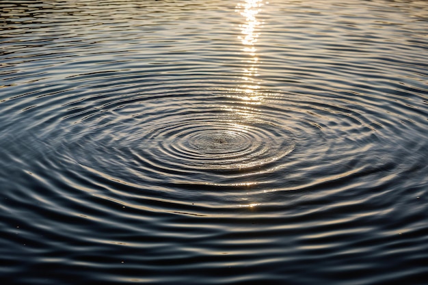 A ripple of water with the sun setting on the top.