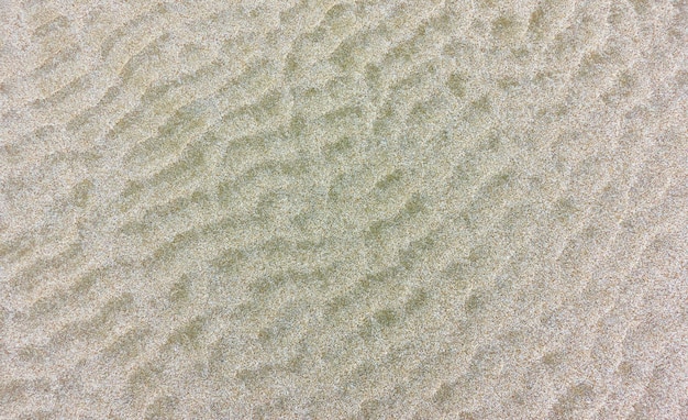 細かい海砂の波状のテクスチャ-自然な背景