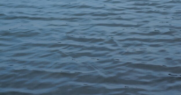 Ripples on the blue surface of the sea