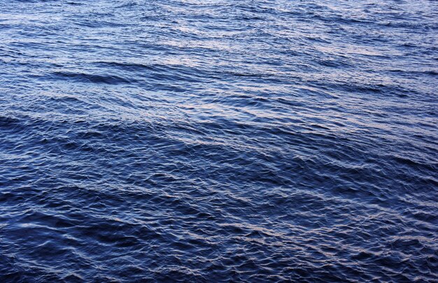 Ripples on the water surface