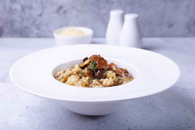 Risotto with porcini mushrooms. Traditional Italian dish. Close-up, horizontal orientation.