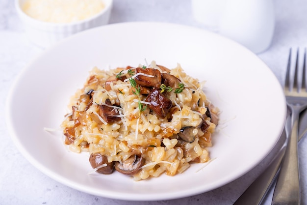 Risotto with porcini mushrooms Traditional Italian dish Closeup horizontal orientation