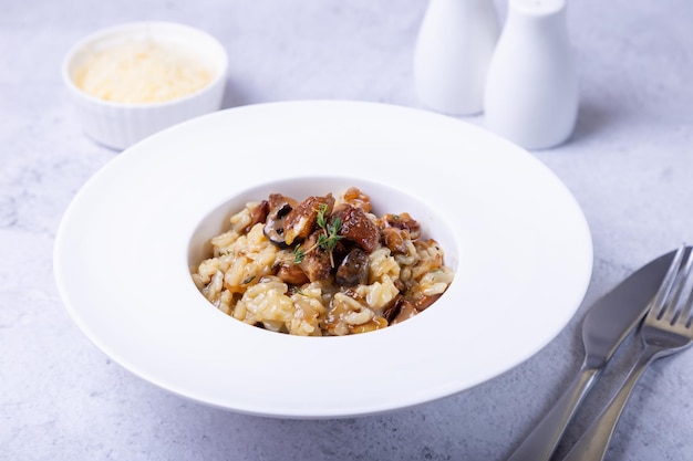 Risotto with porcini mushrooms Traditional Italian dish Closeup horizontal orientation