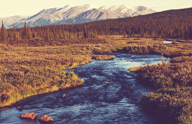 River on Alaska