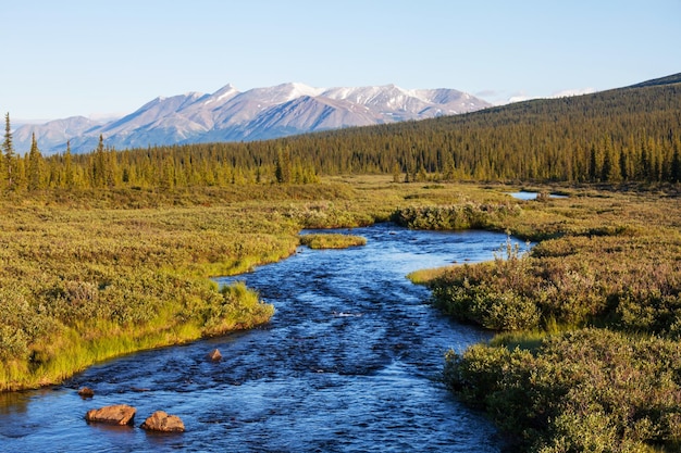 River on Alaska