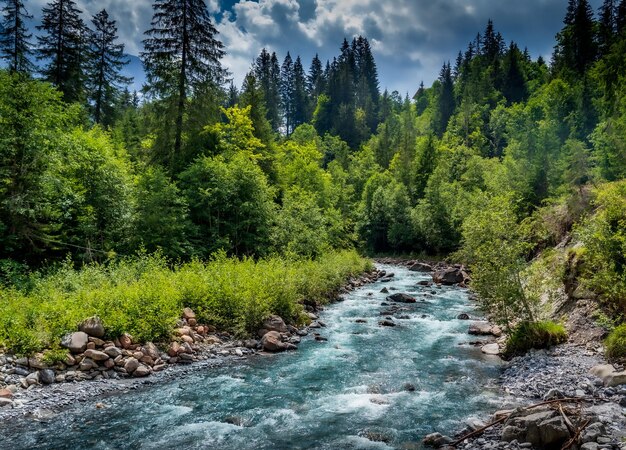 Photo river in alpine scenery