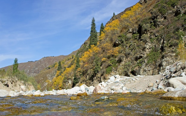 River in Alps