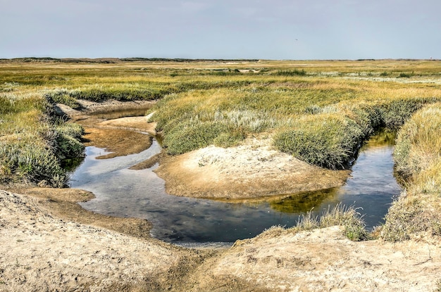 River amidst field against sky