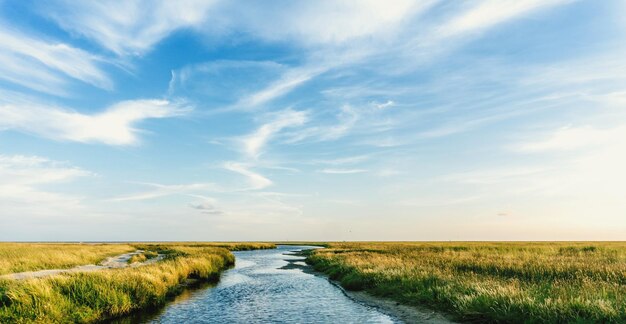 River amidst grassy field against sky