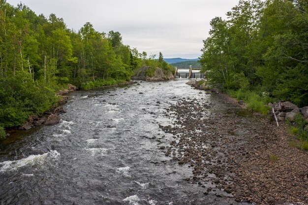 Photo river amidst trees against sky