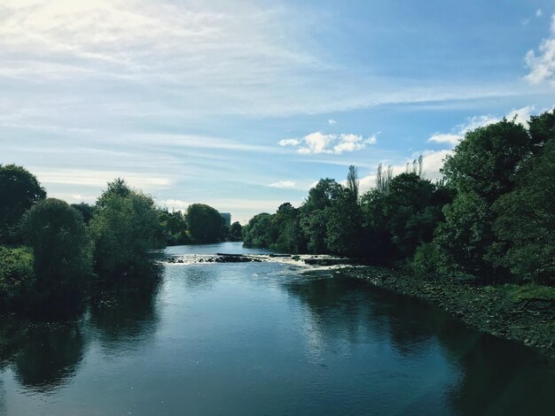 Foto fiume in mezzo agli alberi contro il cielo