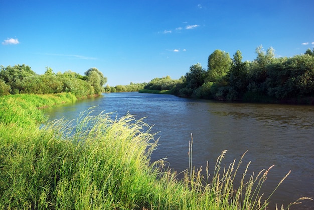 Фото Речной и весенний лес.