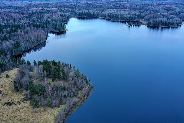 river autumn view from drone forest, landscape panorama aerial view
