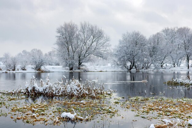 River bank after snowfall on cloudy winter day