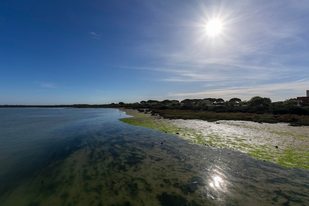 River bank near the mouth of the sea