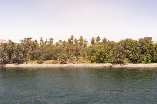 River bank of the Nile river in Egypt