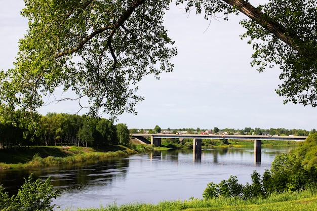 River bank with trees and bridge for cars