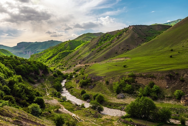 Русло реки между зелеными горами