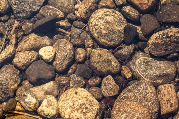 River Bed - Stones beneath the clear water of a river