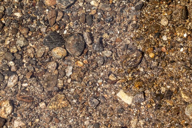 River Bed - Stones onder het heldere water van een rivier