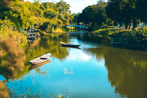 river boat green trees countryside 