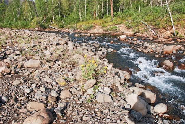 Река Бухарама