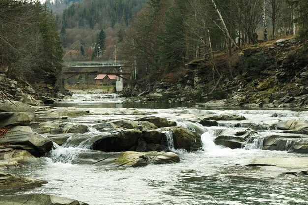 River in the Carpathian mountains in autumn