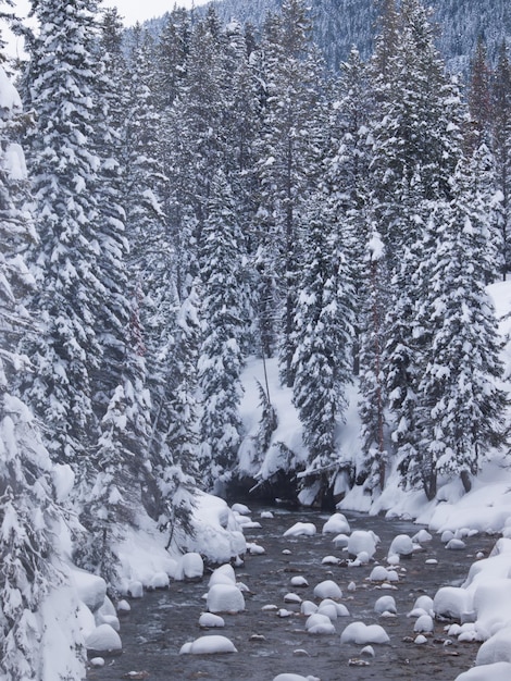 River covered with snow near Granite Hot Springs, Jackson Hole, WY.